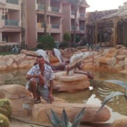 Парень ищет девушку для секса на одну ночь в Набереженые челны Парень ищет девушку для секса на одну ночь в Набереженые челны